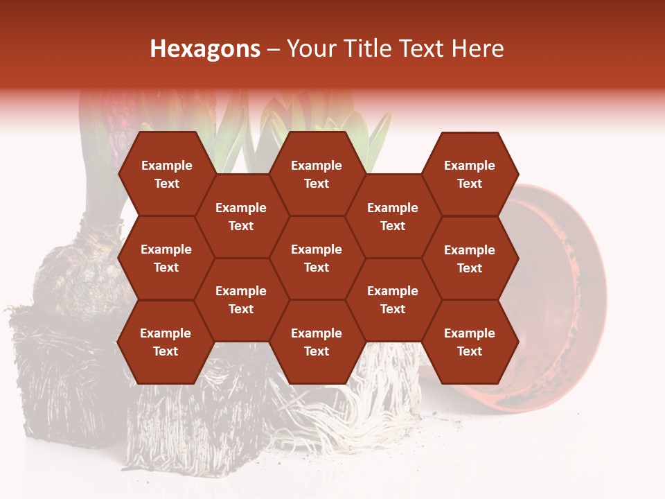 Concept Dirt Young PowerPoint Template