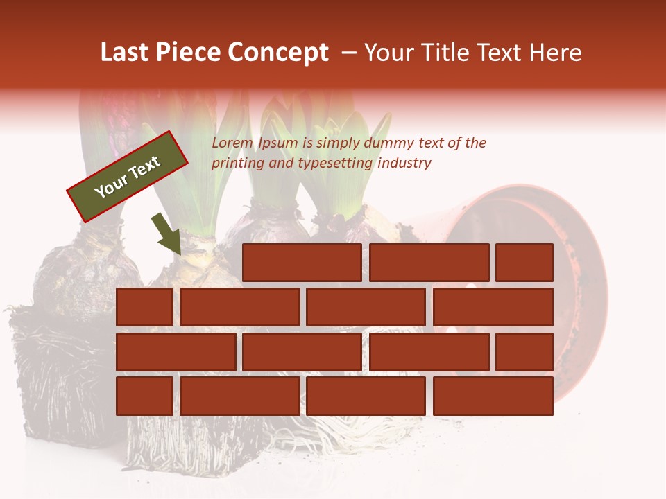 Concept Dirt Young PowerPoint Template