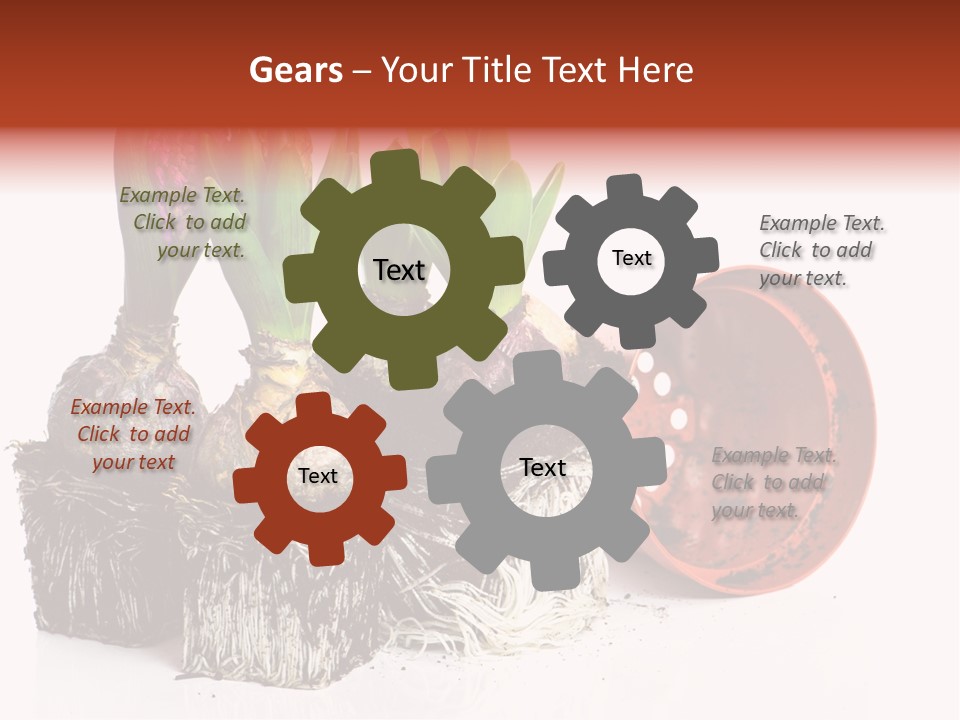 Concept Dirt Young PowerPoint Template