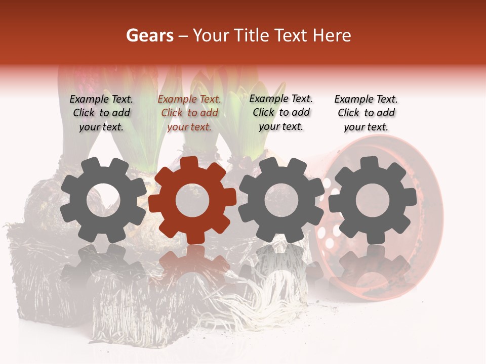 Concept Dirt Young PowerPoint Template