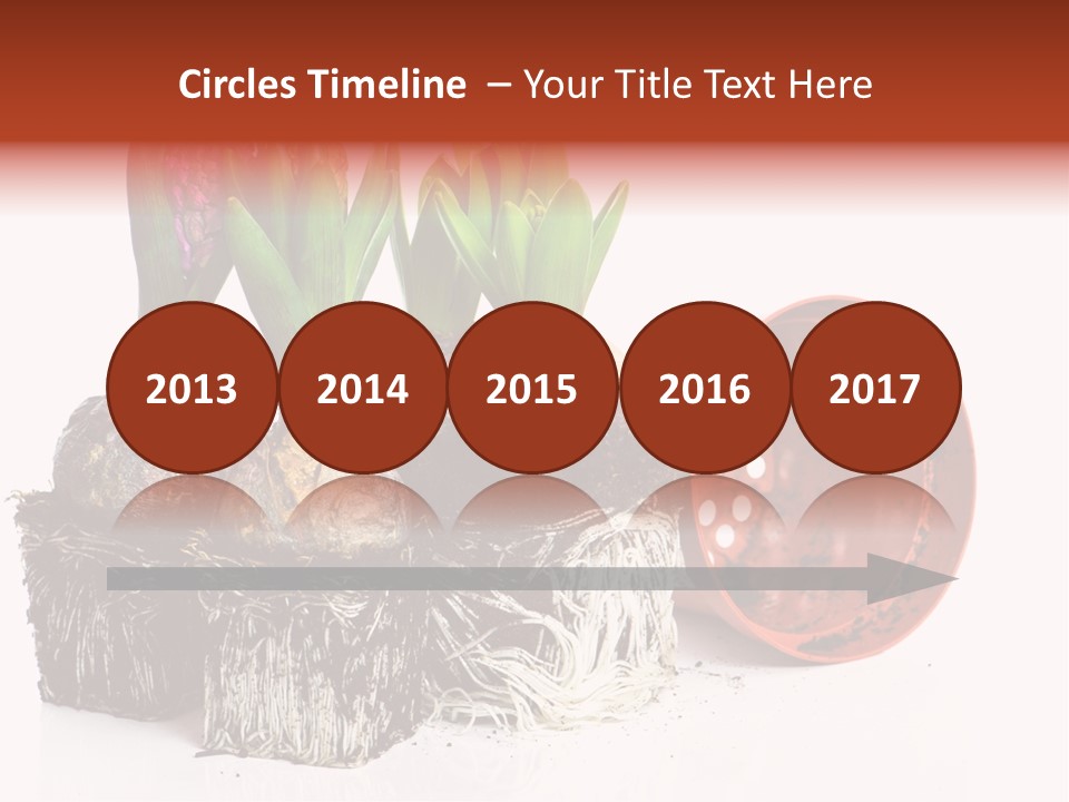 Concept Dirt Young PowerPoint Template