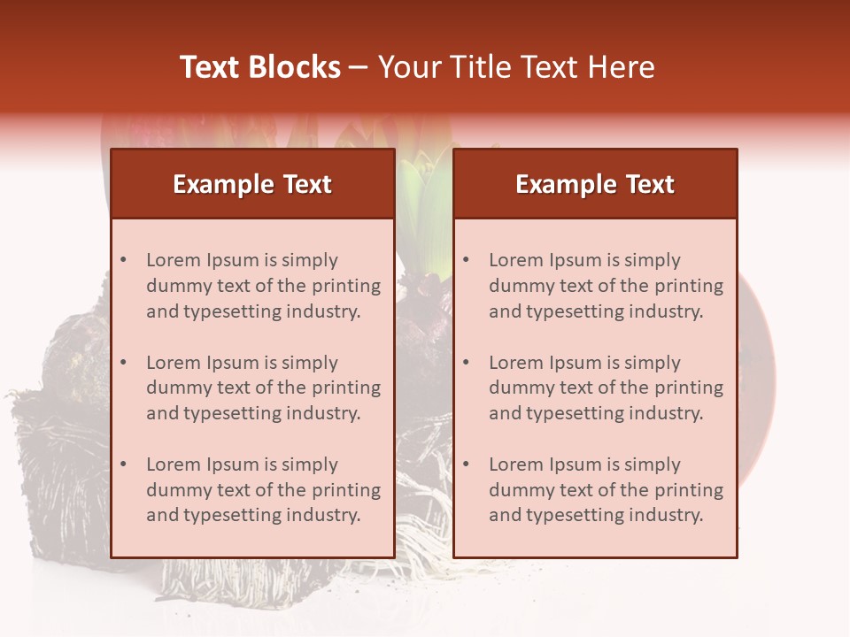 Concept Dirt Young PowerPoint Template