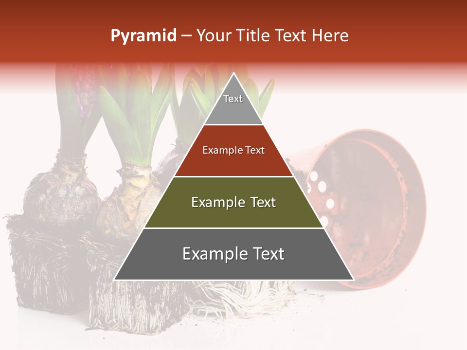 Concept Dirt Young PowerPoint Template