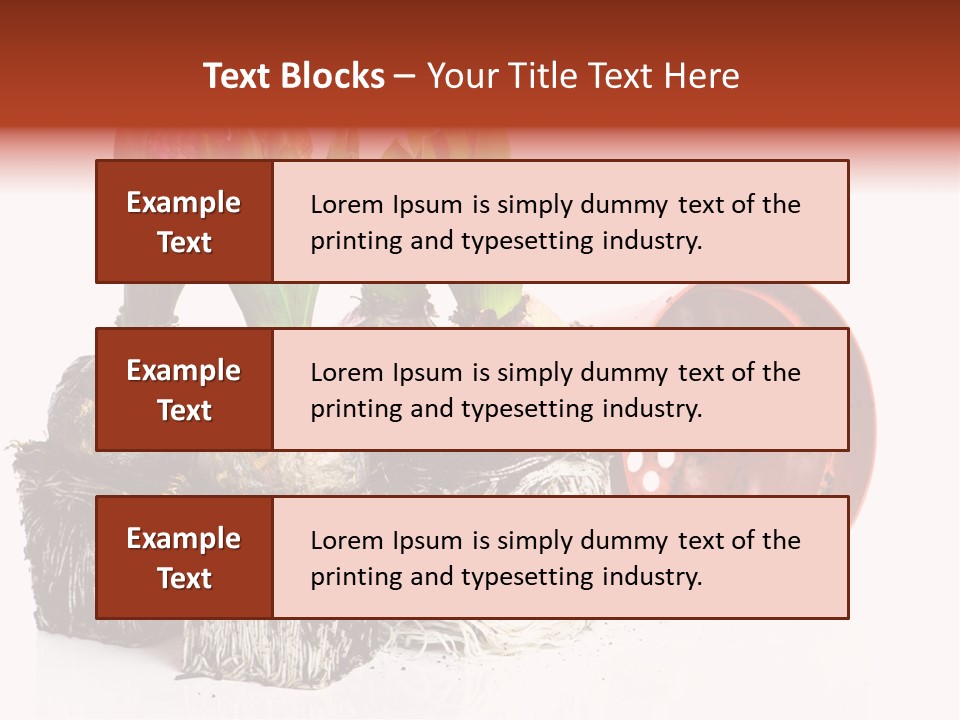 Concept Dirt Young PowerPoint Template