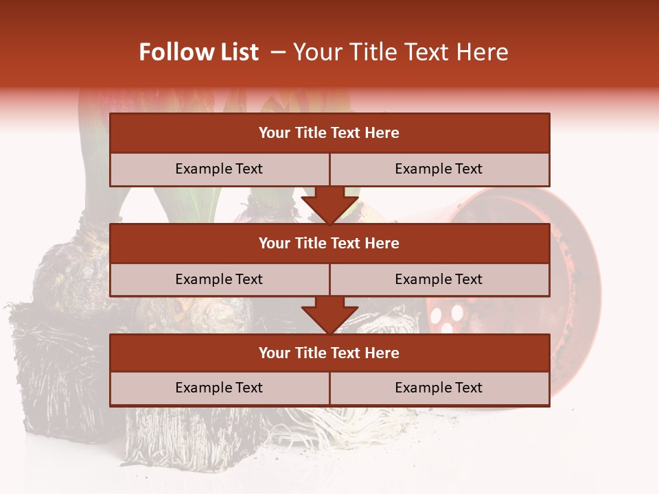 Concept Dirt Young PowerPoint Template