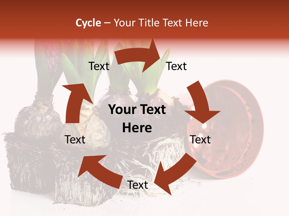 Concept Dirt Young PowerPoint Template