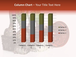 Concept Dirt Young PowerPoint Template