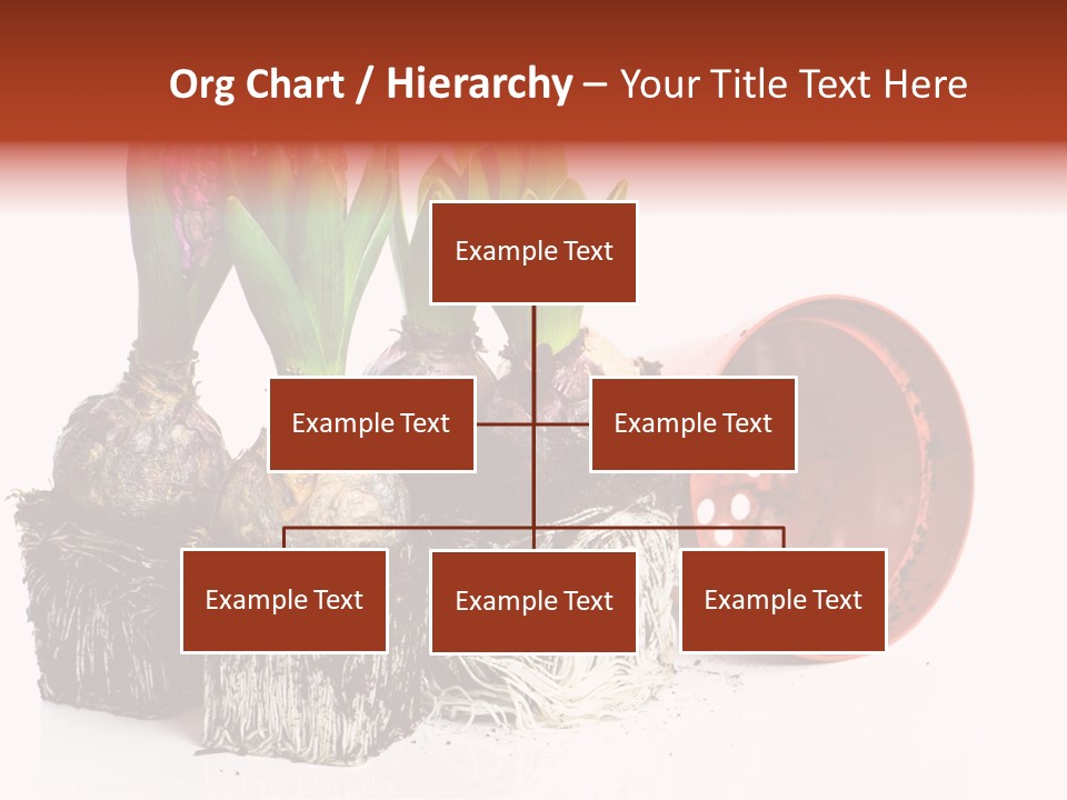 Concept Dirt Young PowerPoint Template