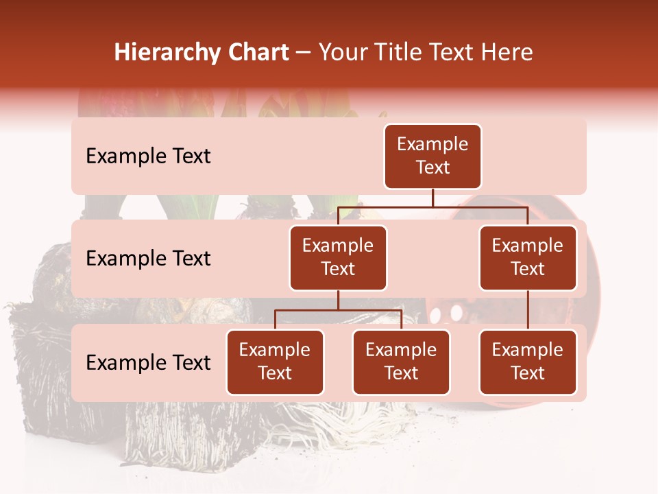 Concept Dirt Young PowerPoint Template