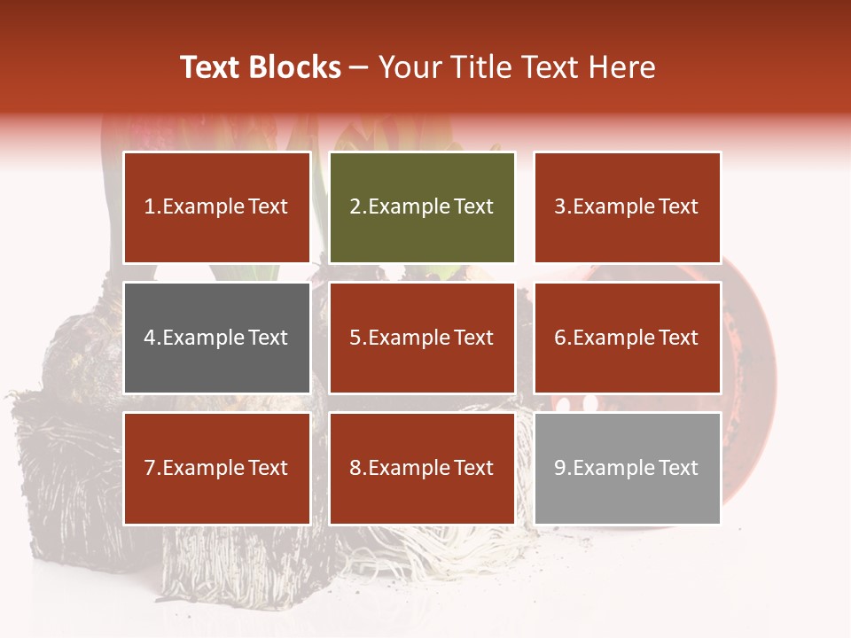 Concept Dirt Young PowerPoint Template