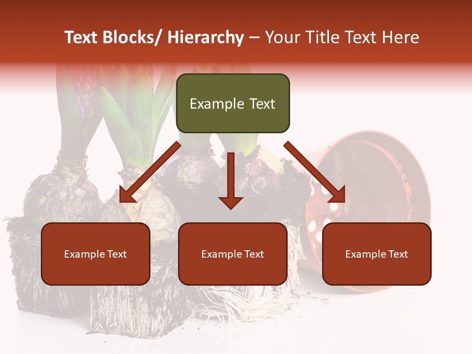 Concept Dirt Young PowerPoint Template