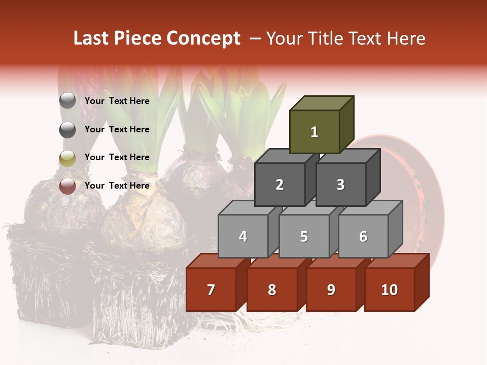 Concept Dirt Young PowerPoint Template