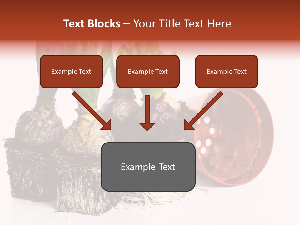 Concept Dirt Young PowerPoint Template