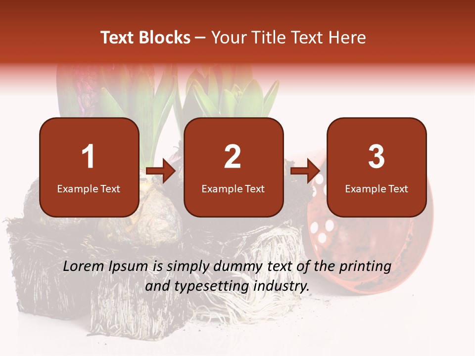 Concept Dirt Young PowerPoint Template