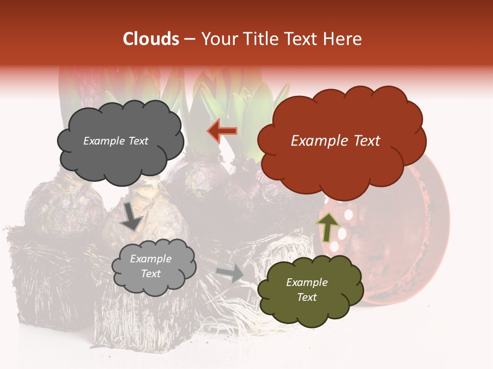 Concept Dirt Young PowerPoint Template