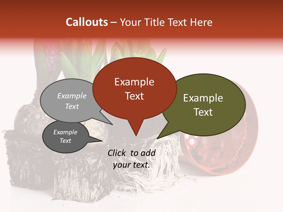 Concept Dirt Young PowerPoint Template