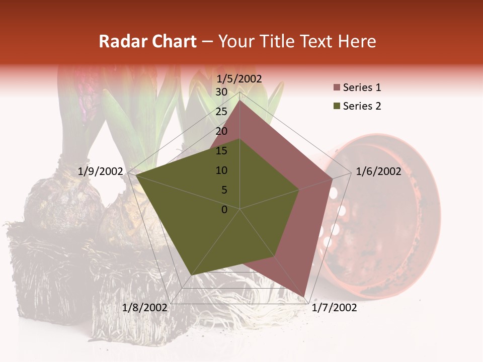 Concept Dirt Young PowerPoint Template