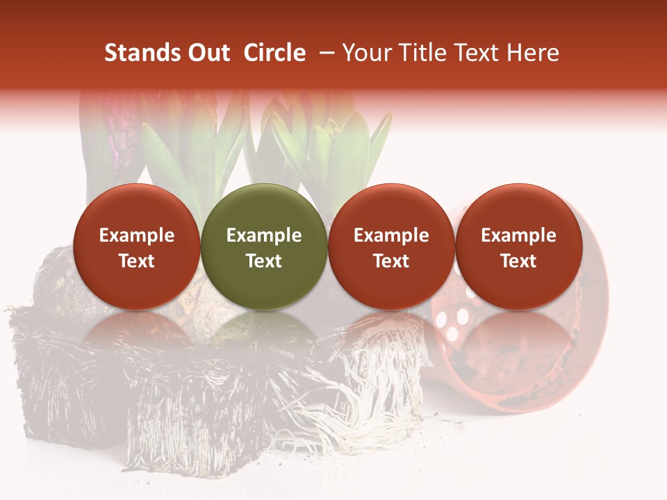 Concept Dirt Young PowerPoint Template