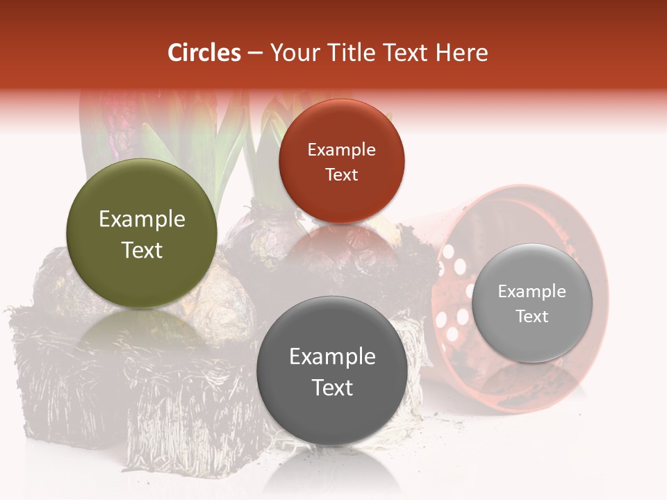 Concept Dirt Young PowerPoint Template