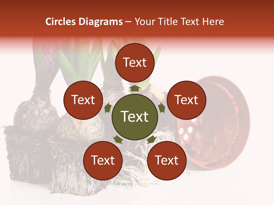 Concept Dirt Young PowerPoint Template