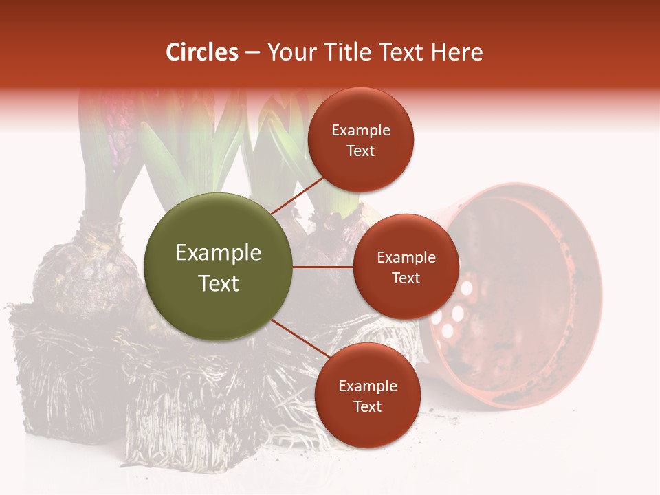 Concept Dirt Young PowerPoint Template