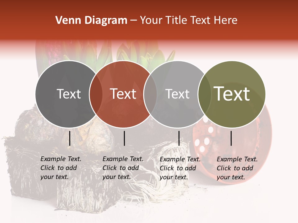 Concept Dirt Young PowerPoint Template