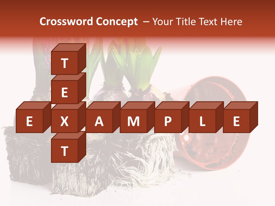 Concept Dirt Young PowerPoint Template