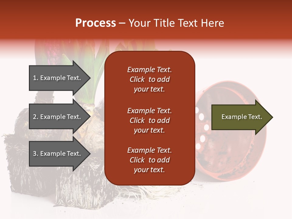 Concept Dirt Young PowerPoint Template