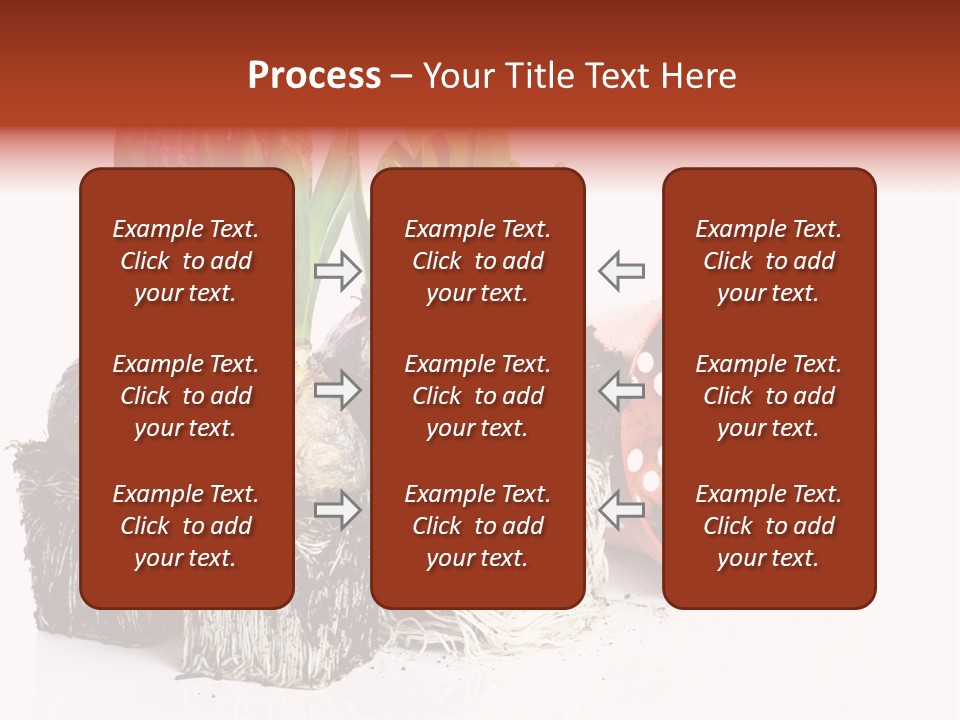 Concept Dirt Young PowerPoint Template