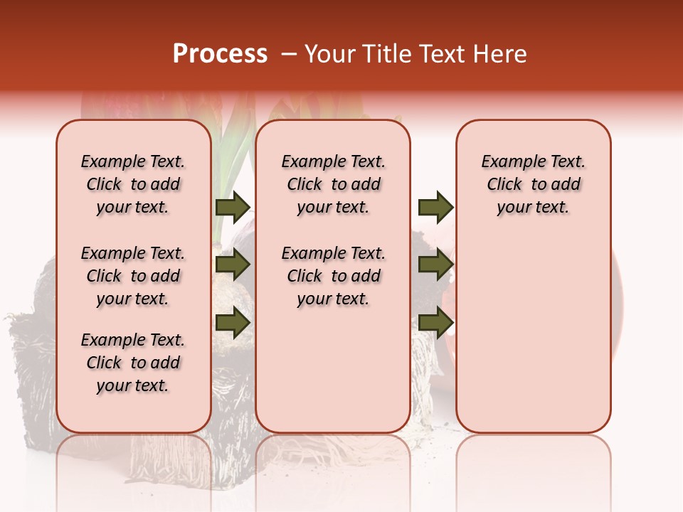 Concept Dirt Young PowerPoint Template