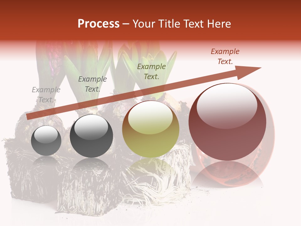 Concept Dirt Young PowerPoint Template
