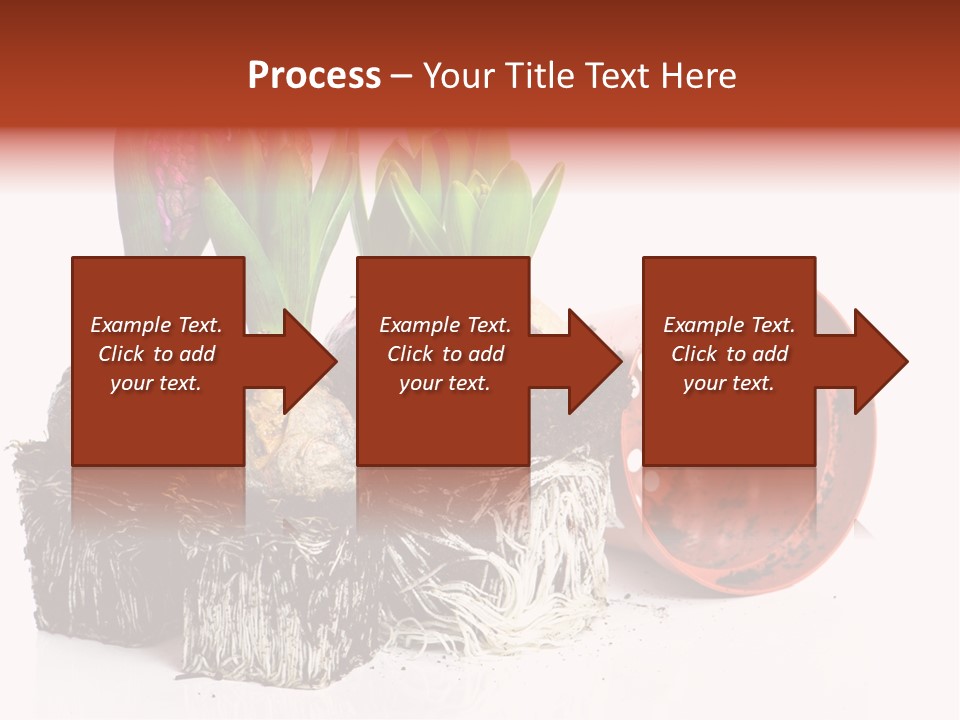 Concept Dirt Young PowerPoint Template