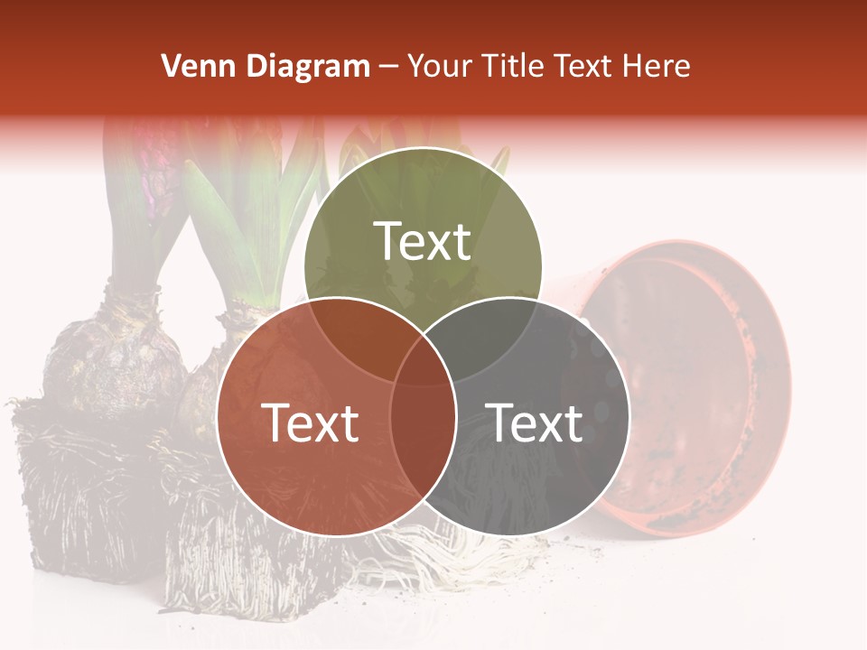 Concept Dirt Young PowerPoint Template