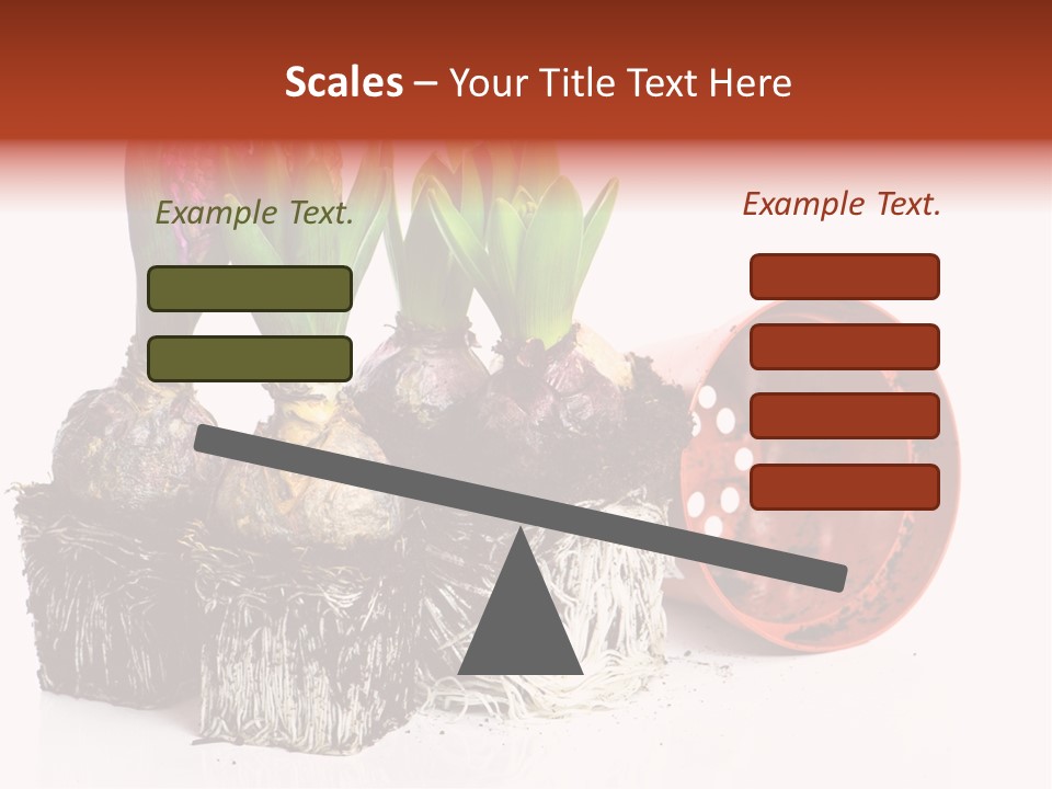 Concept Dirt Young PowerPoint Template