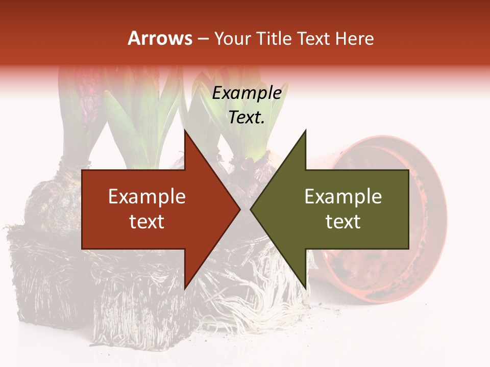Concept Dirt Young PowerPoint Template