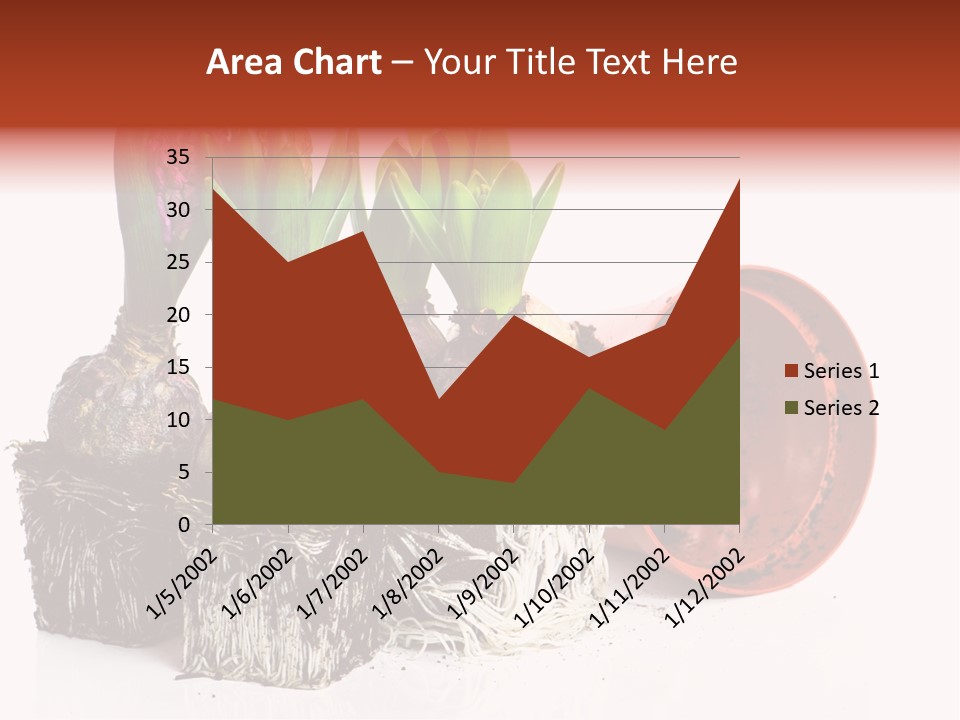 Concept Dirt Young PowerPoint Template
