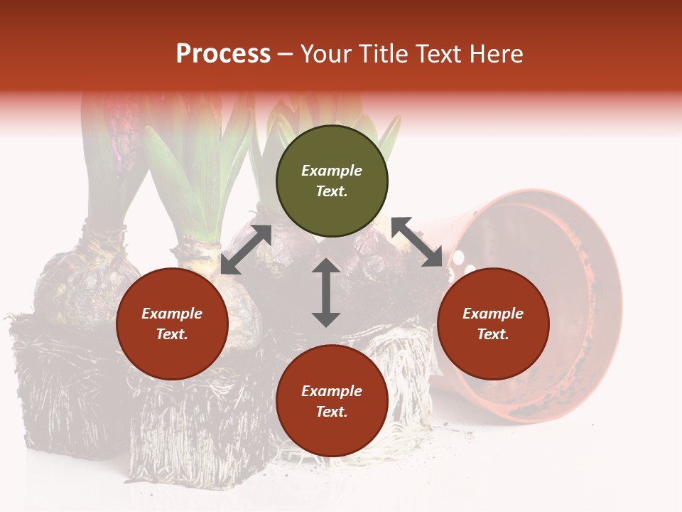 Concept Dirt Young PowerPoint Template