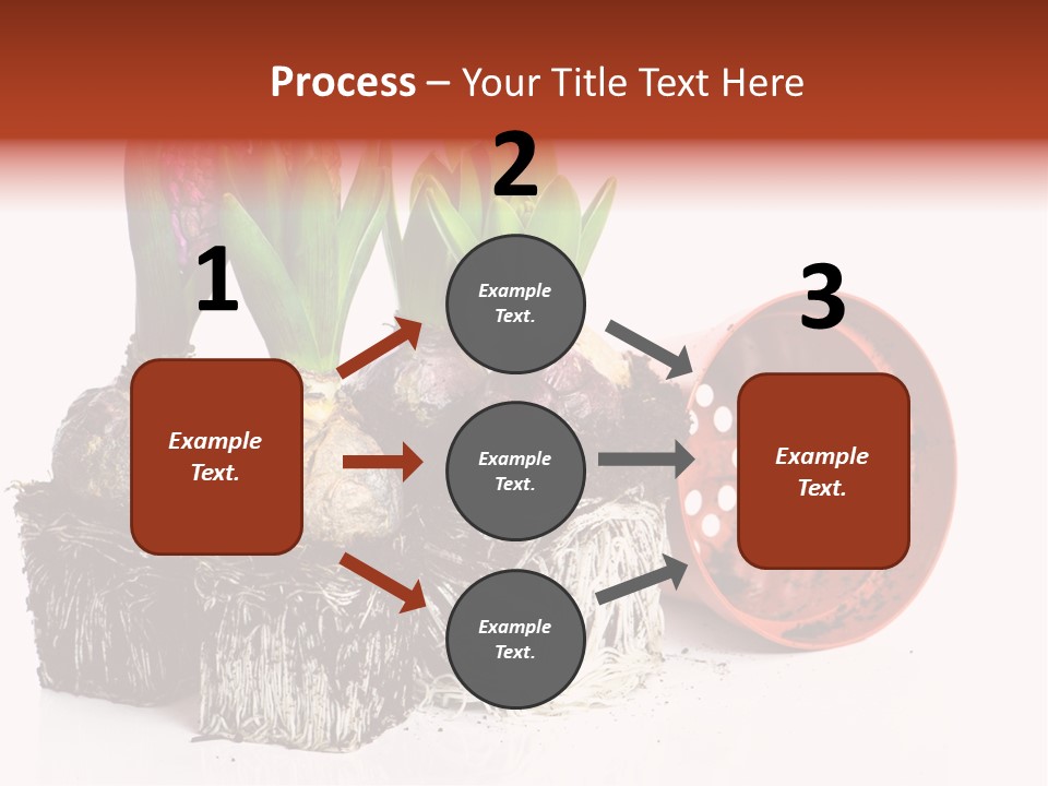 Concept Dirt Young PowerPoint Template