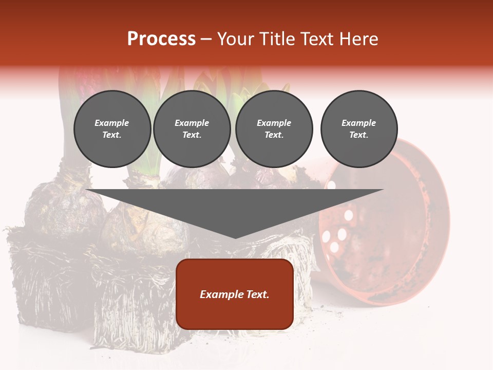 Concept Dirt Young PowerPoint Template