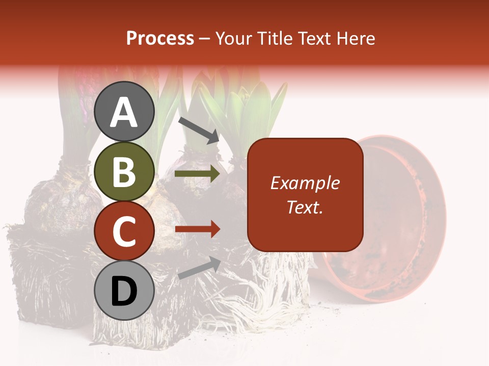 Concept Dirt Young PowerPoint Template
