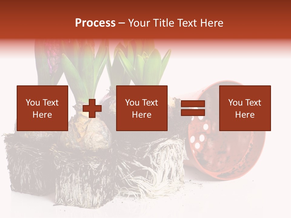 Concept Dirt Young PowerPoint Template