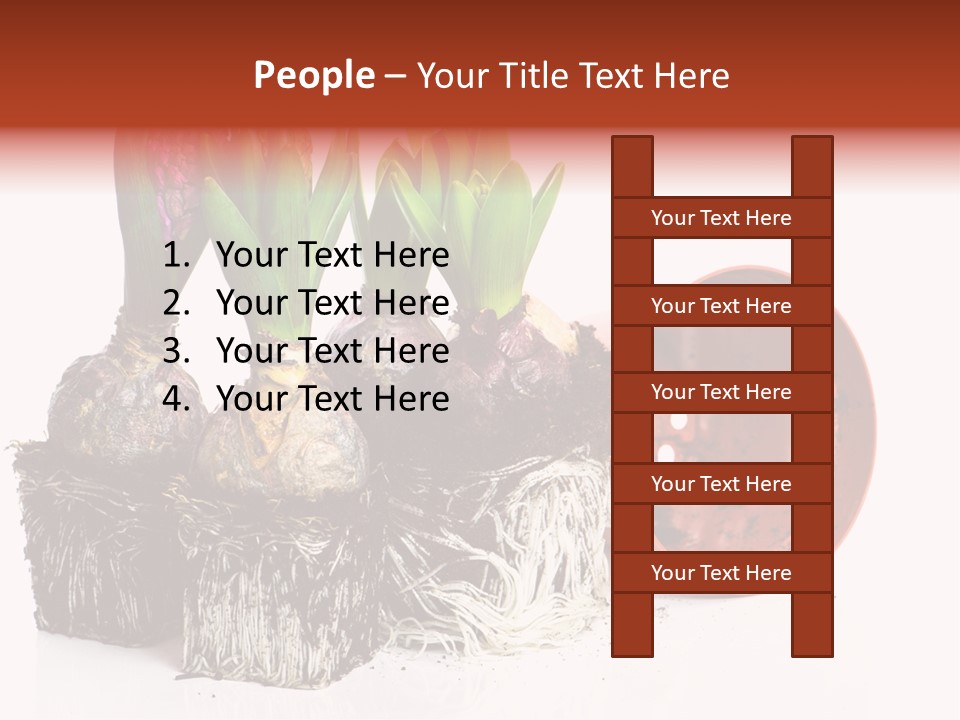 Concept Dirt Young PowerPoint Template