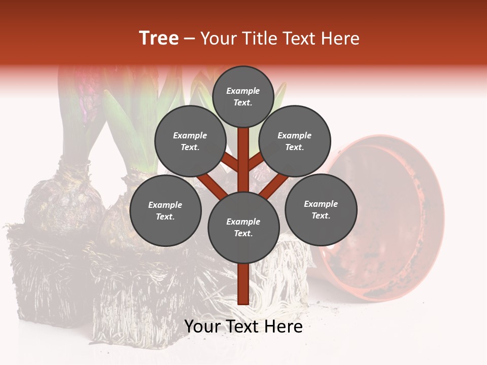 Concept Dirt Young PowerPoint Template