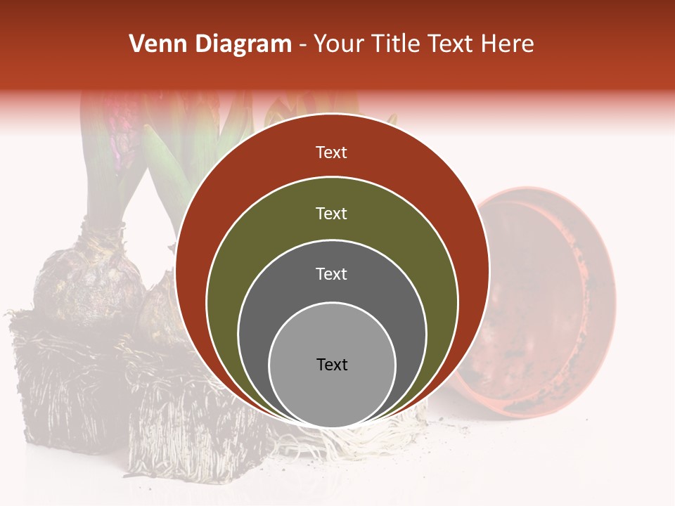 Concept Dirt Young PowerPoint Template