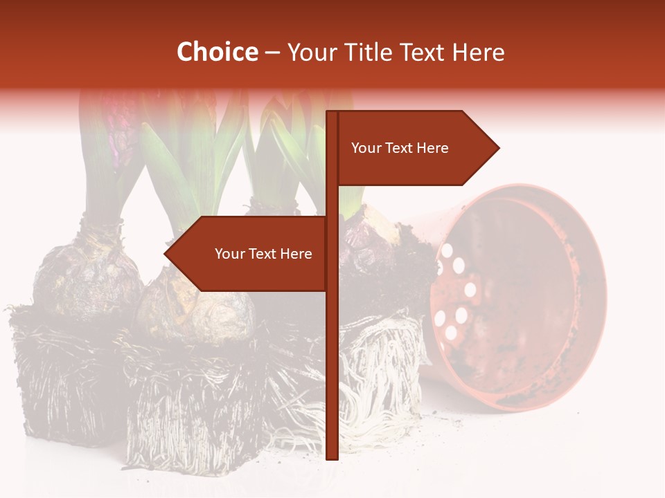 Concept Dirt Young PowerPoint Template
