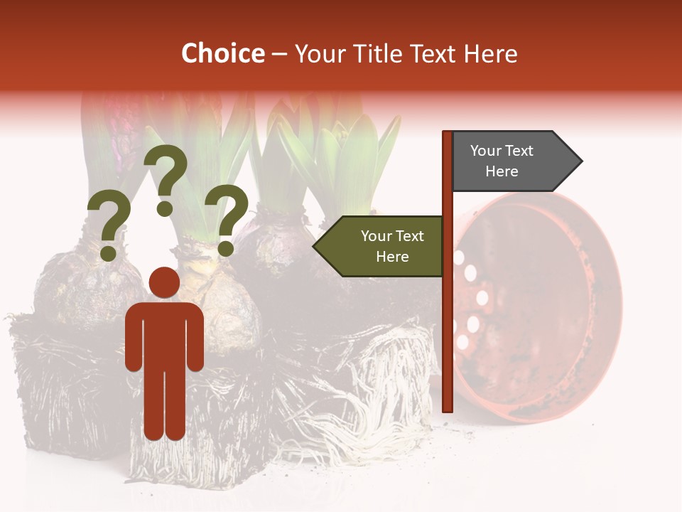 Concept Dirt Young PowerPoint Template