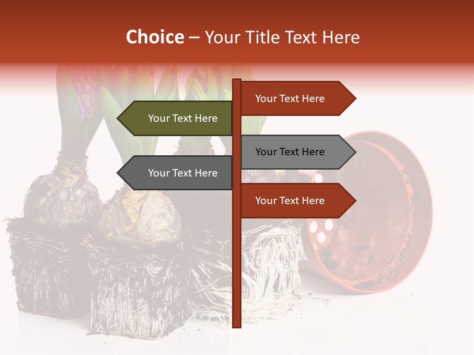 Concept Dirt Young PowerPoint Template