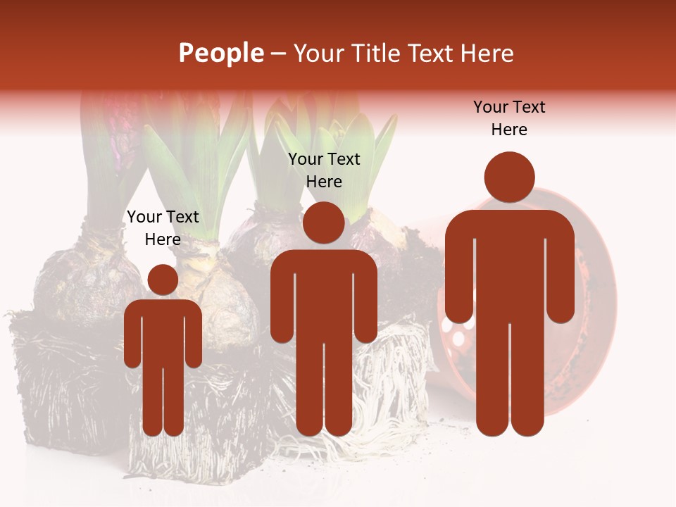 Concept Dirt Young PowerPoint Template