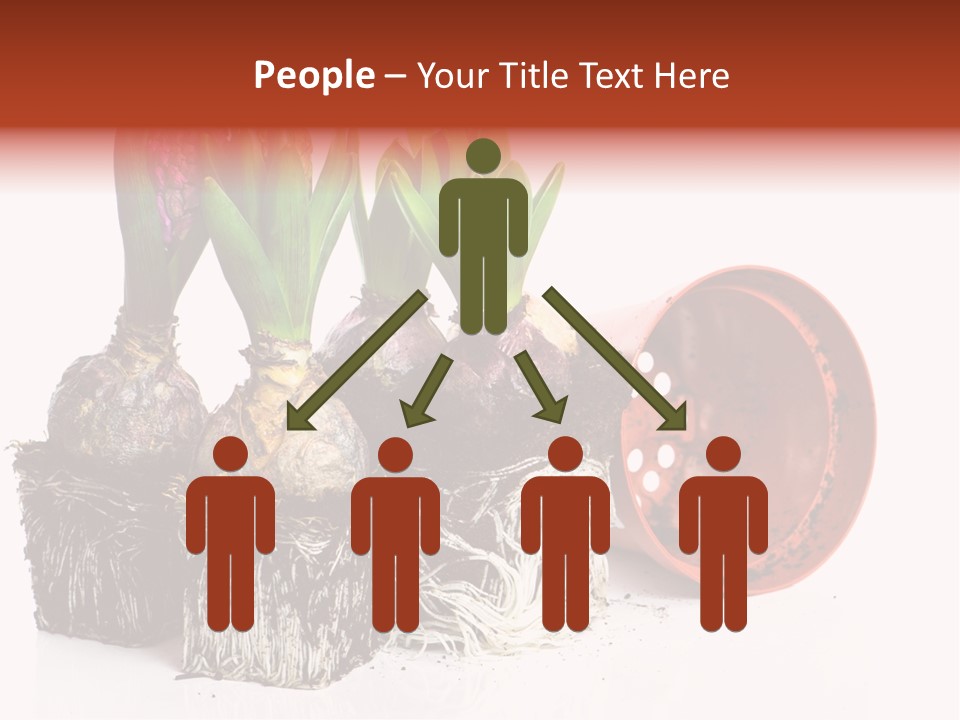 Concept Dirt Young PowerPoint Template