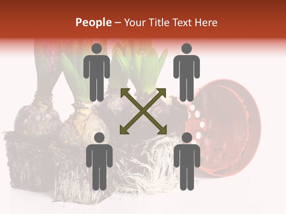 Concept Dirt Young PowerPoint Template